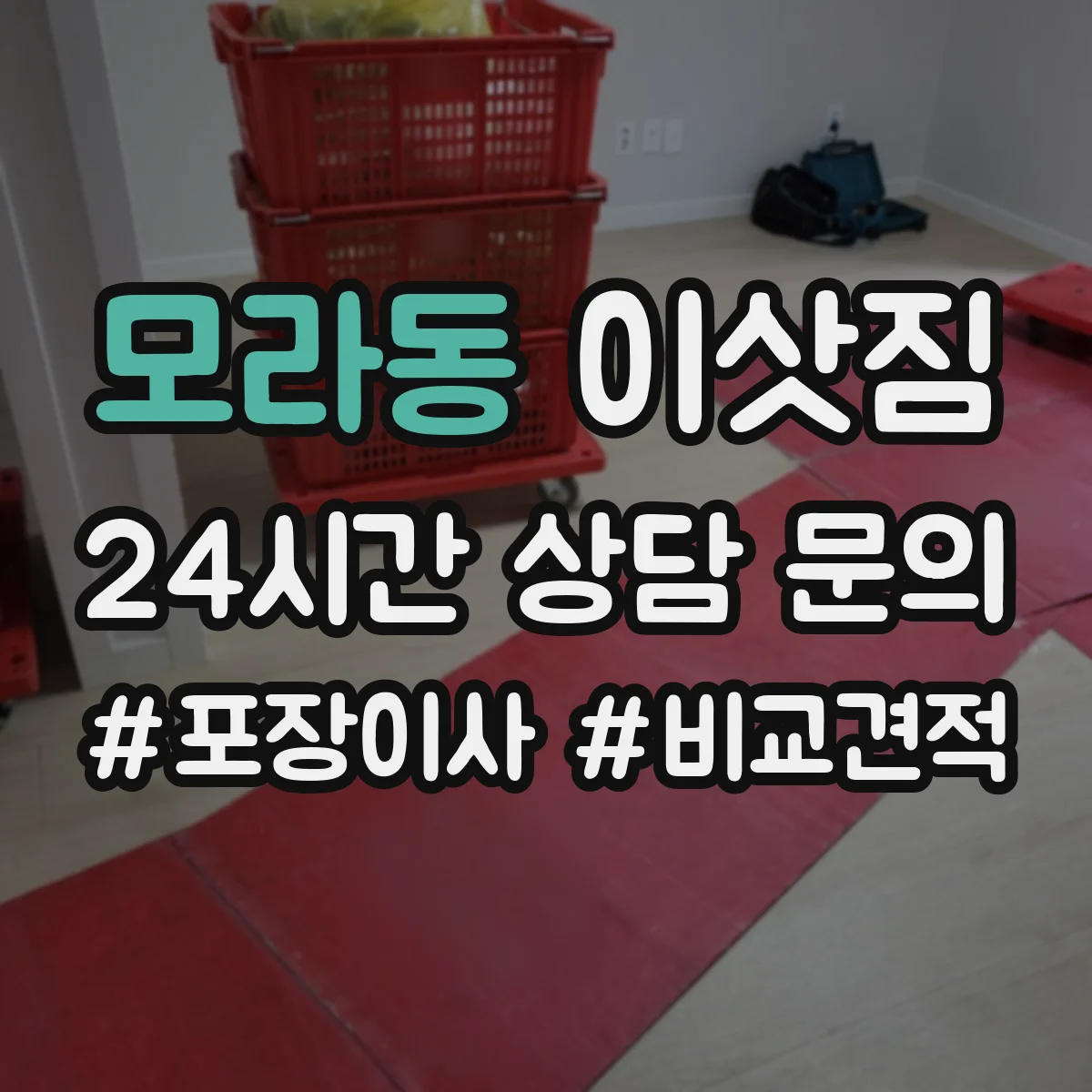 모라동 이삿짐