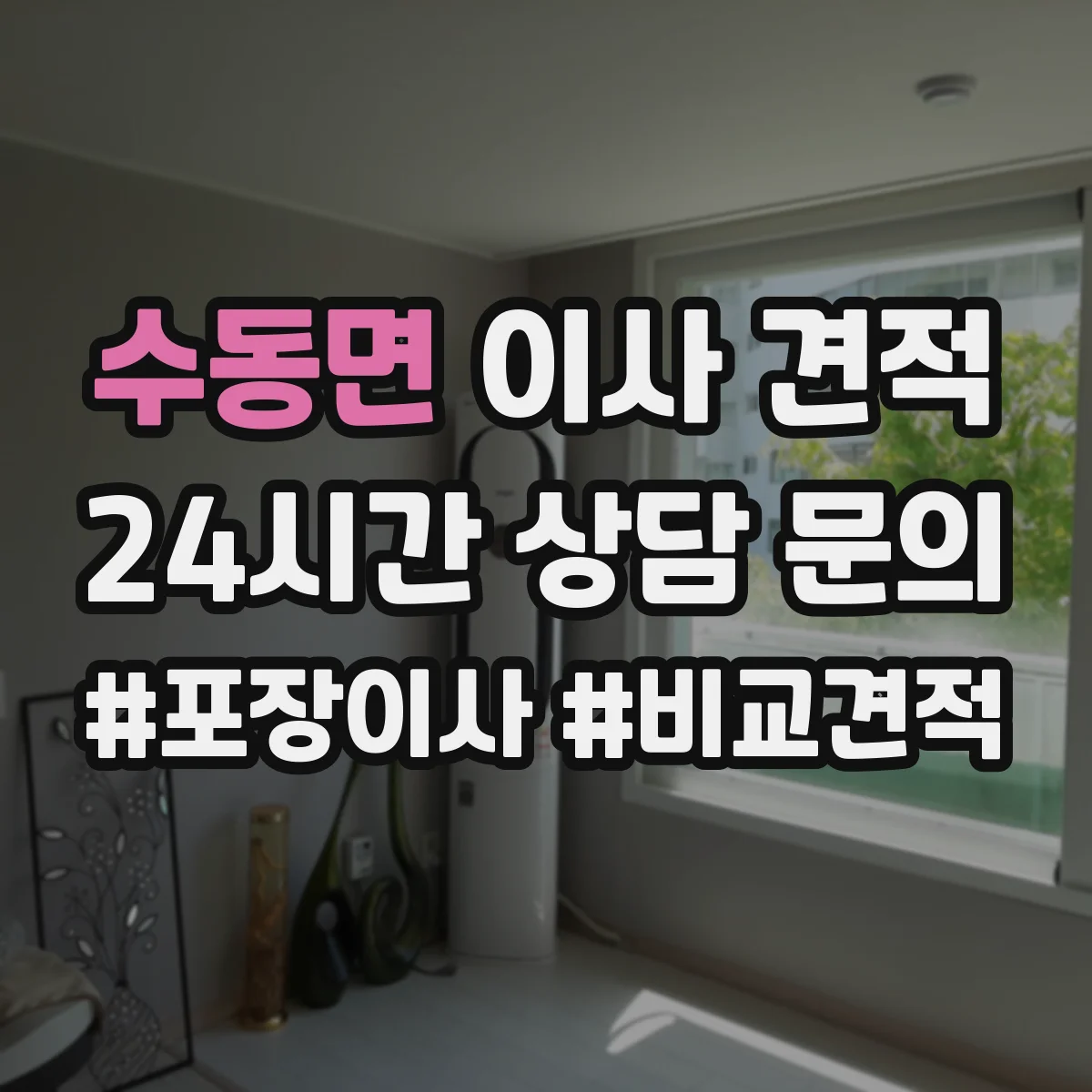 수동면 이사 견적