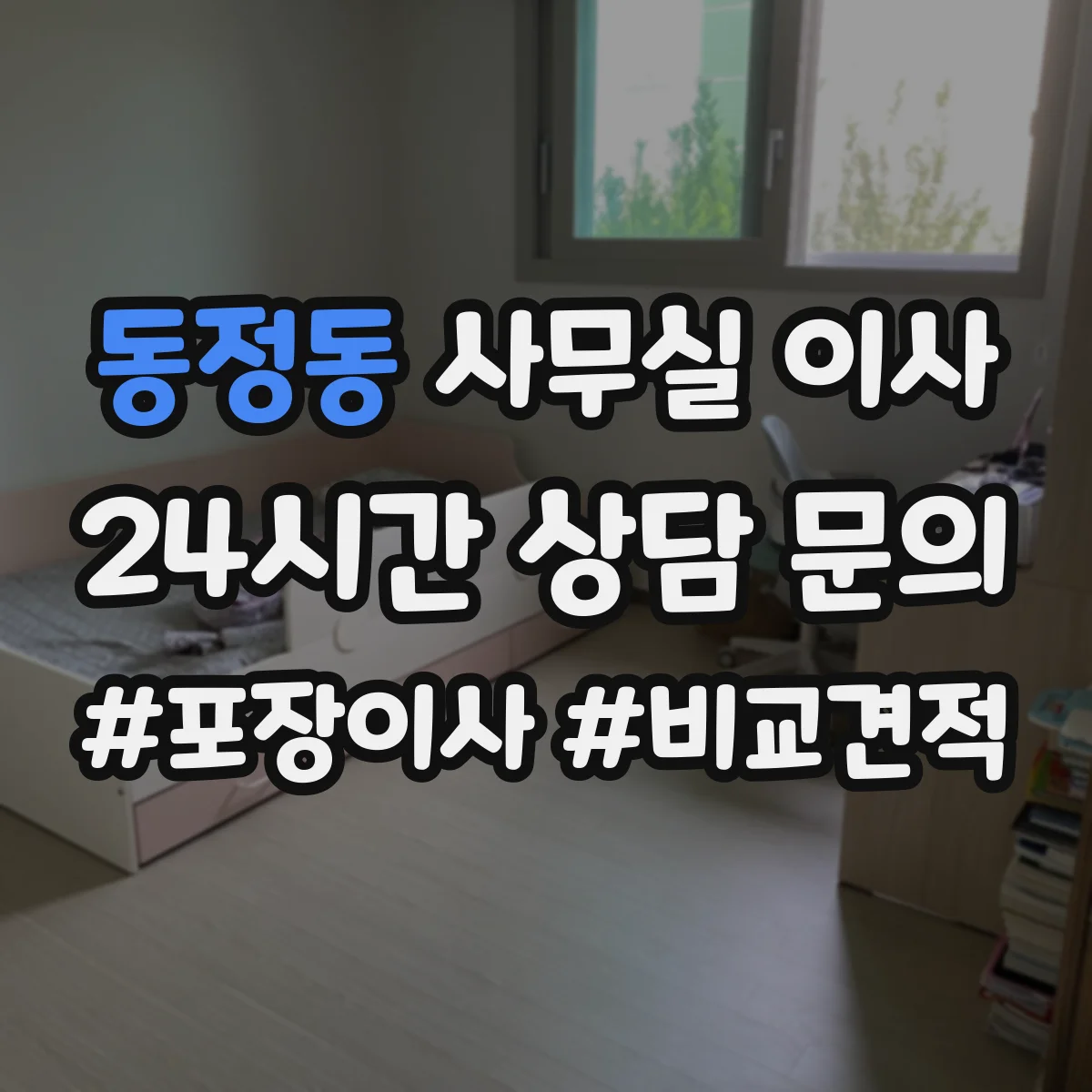 동정동 사무실 이사
