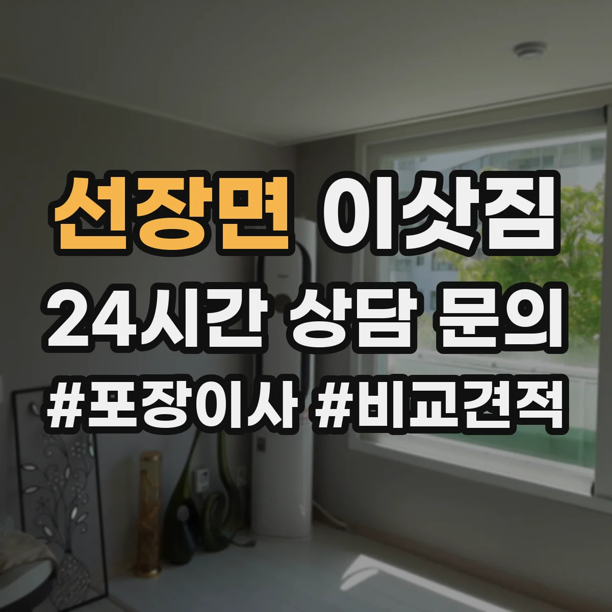 선장면 이삿짐