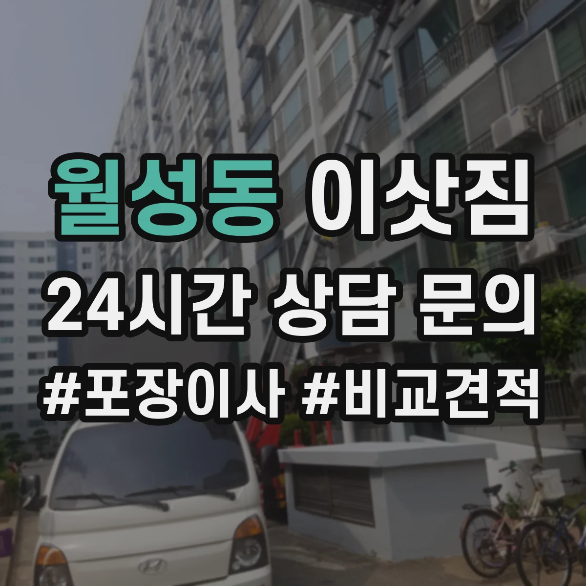 월성동 이삿짐