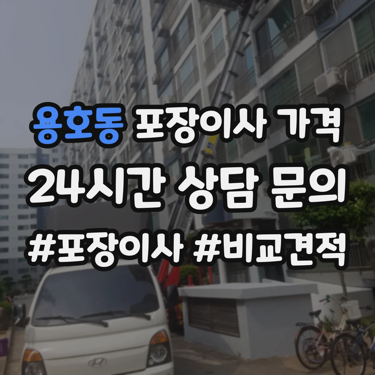용호동 포장이사 가격