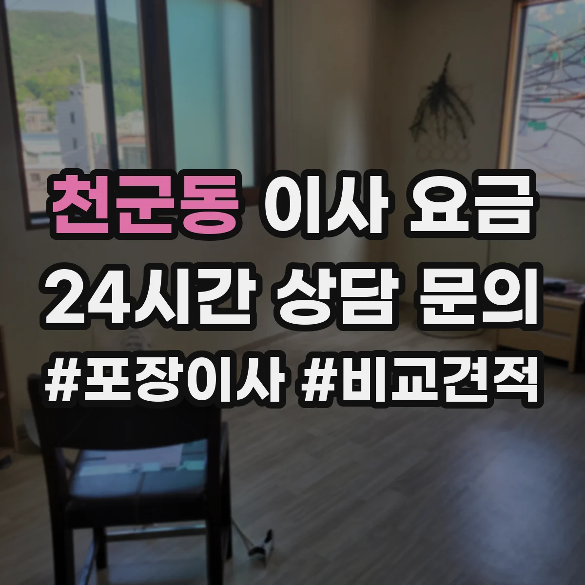 천군동 이사 요금