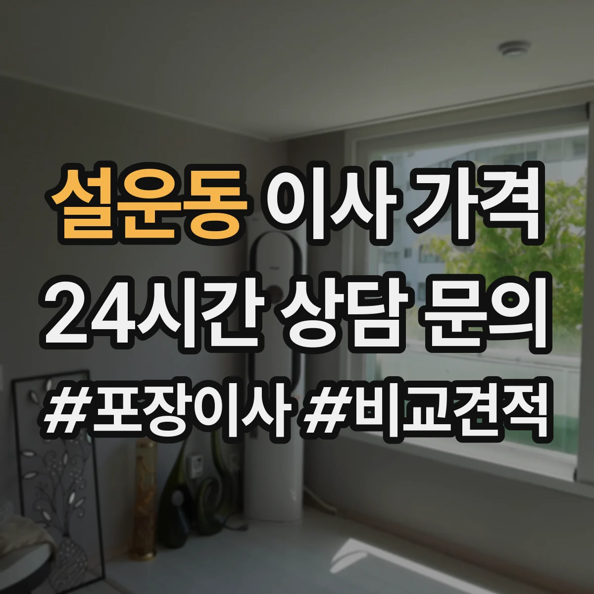 설운동 이사 가격
