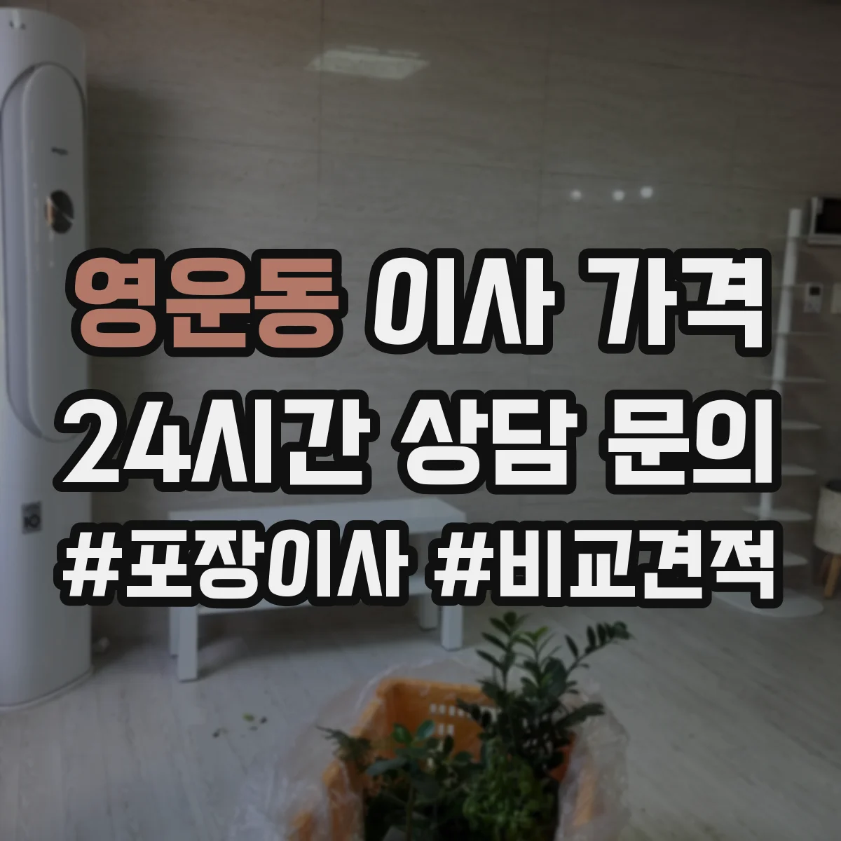 영운동 이사 가격