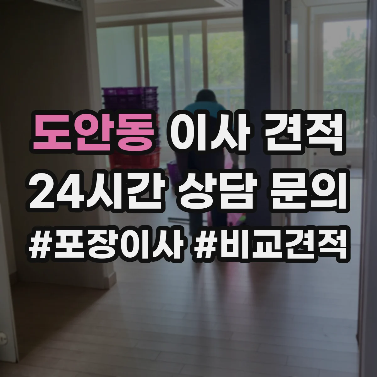 도안동 이사 견적