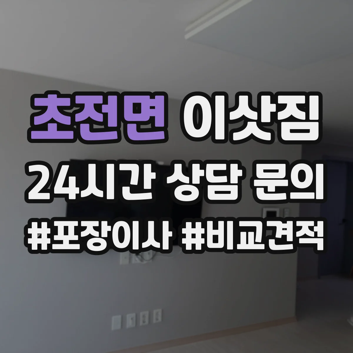 초전면 이삿짐