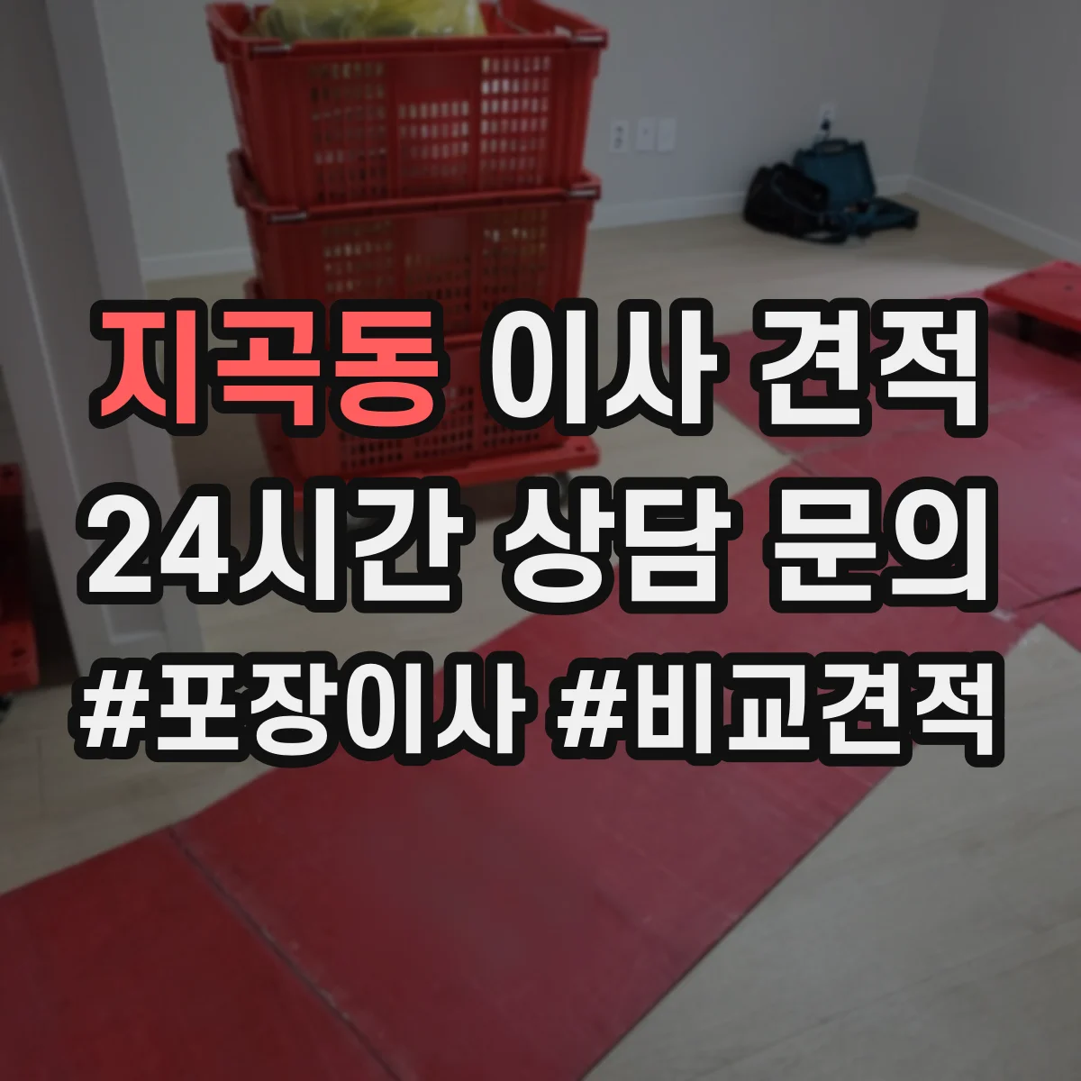 지곡동 이사 견적