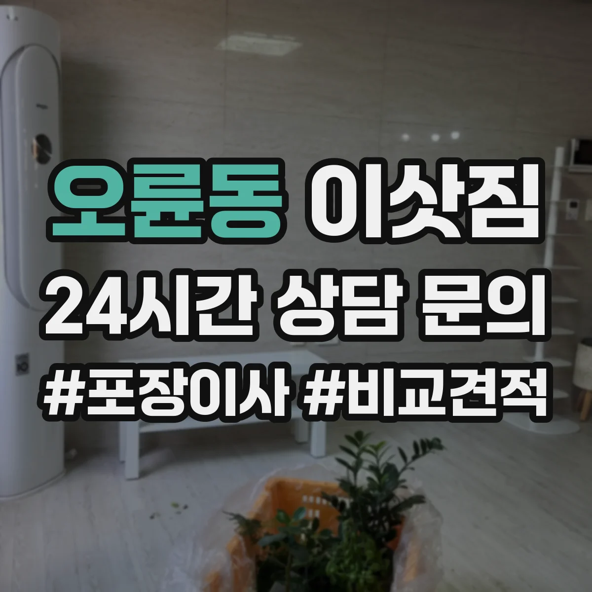 오륜동 이삿짐