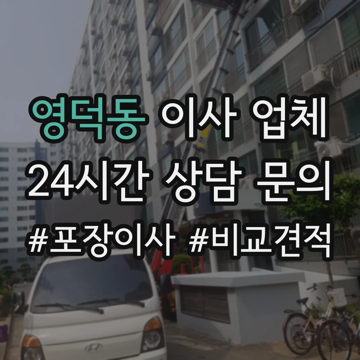 영덕동 이사 업체