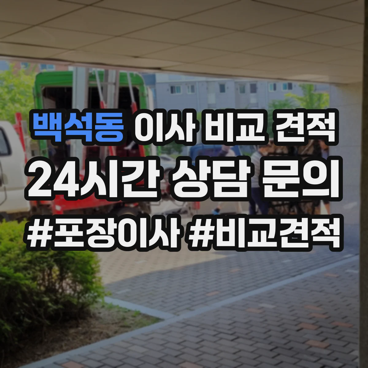 백석동 이사 비교 견적