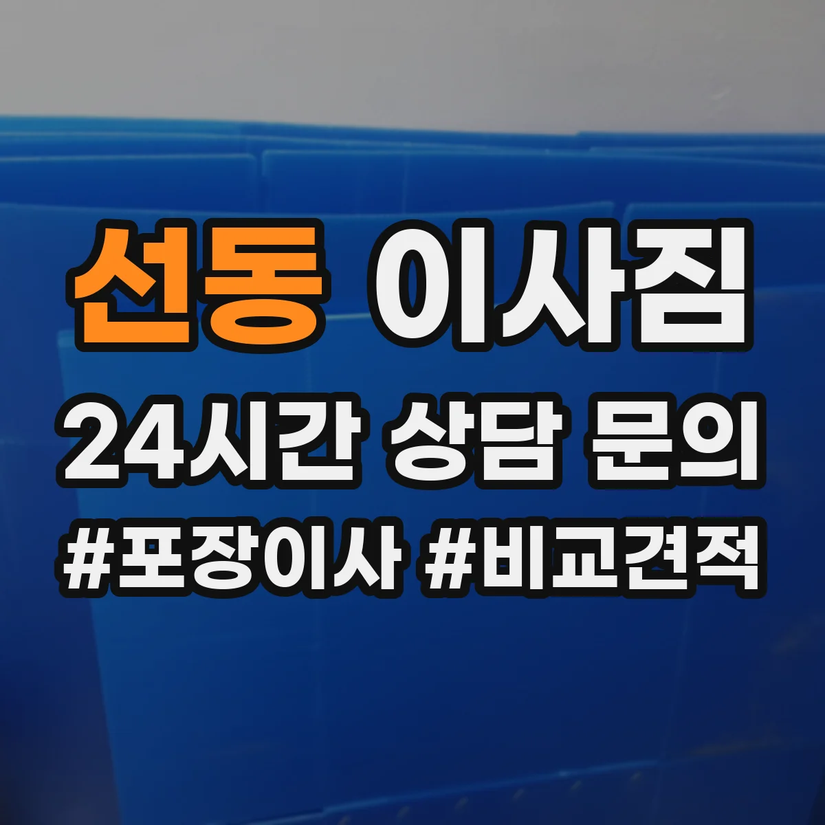 선동 이사짐