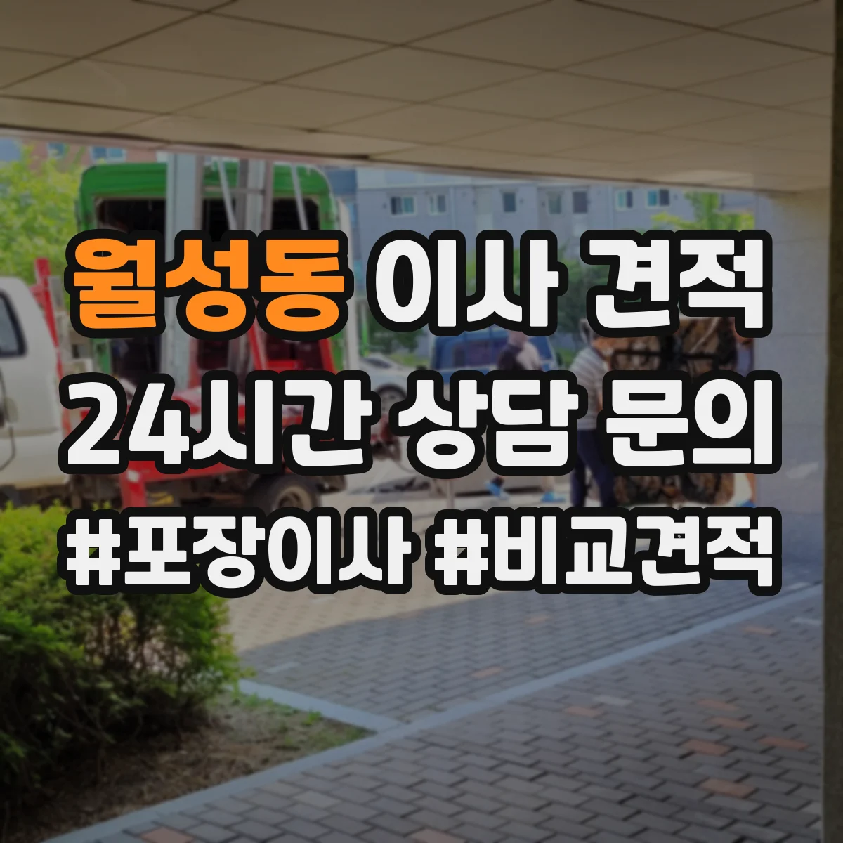 월성동 이사 견적