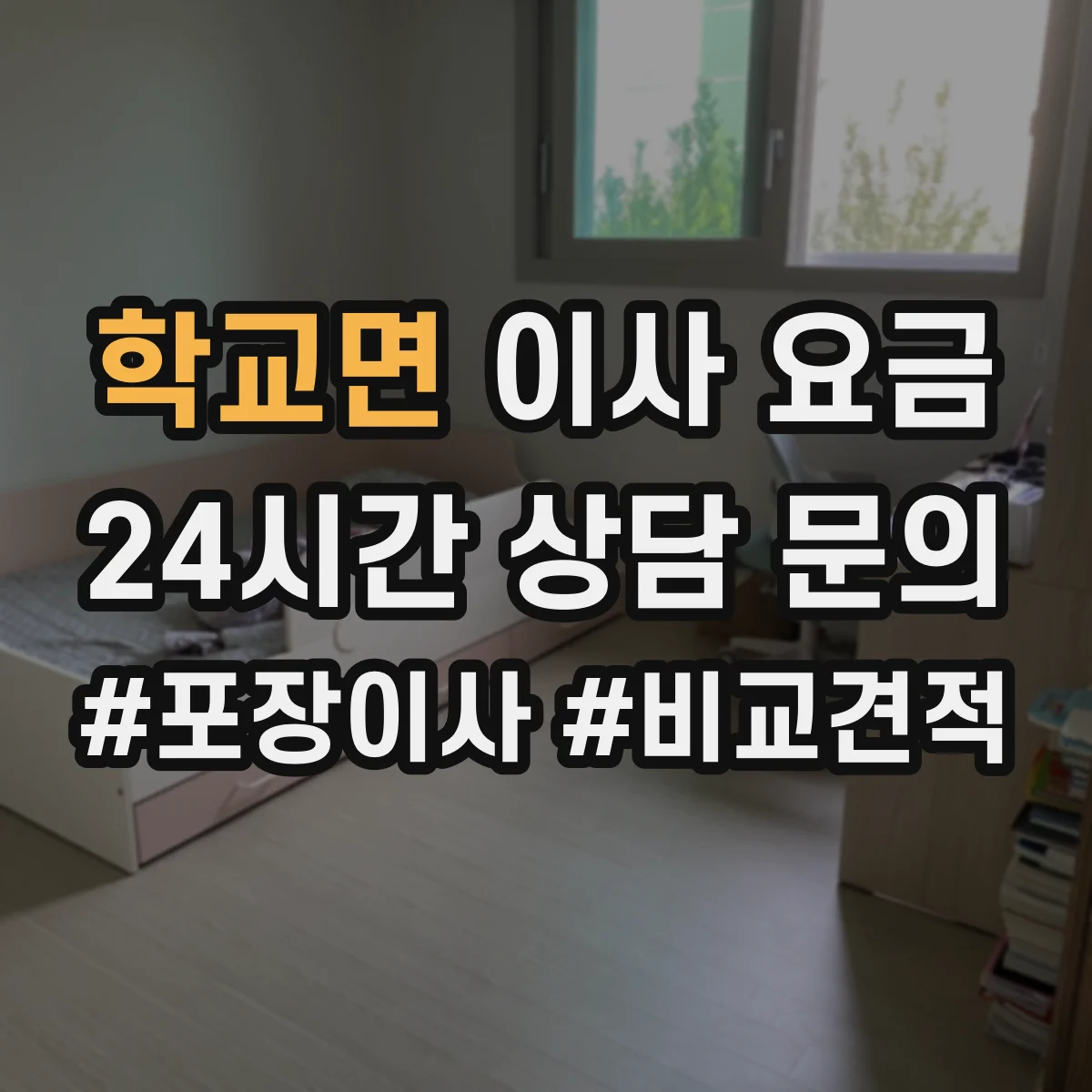 학교면 이사 요금