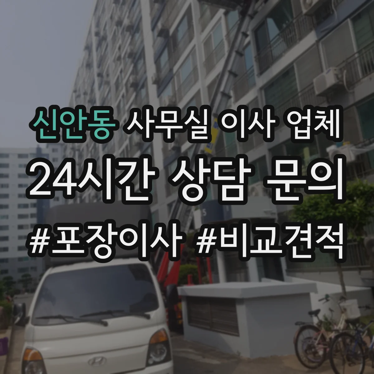 신안동 사무실 이사 업체