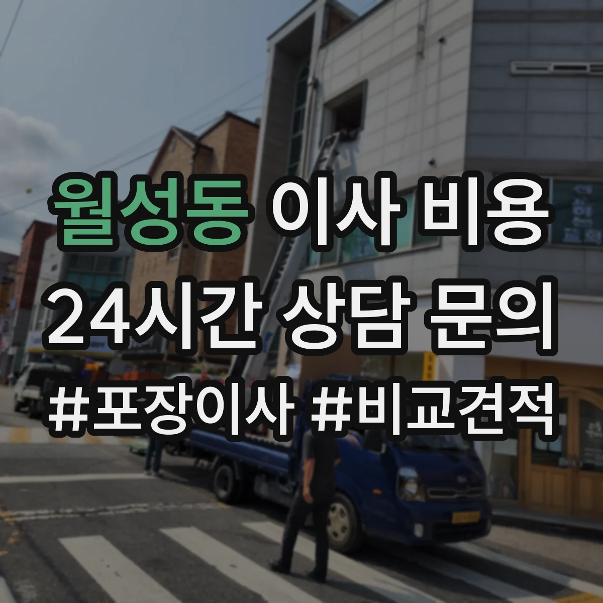 월성동 이사 비용