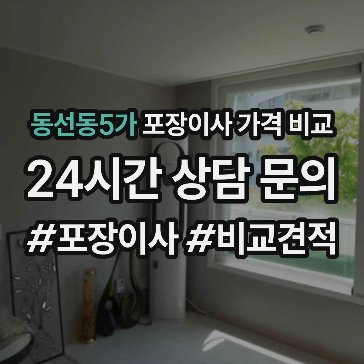 동선동5가 포장이사 가격 비교