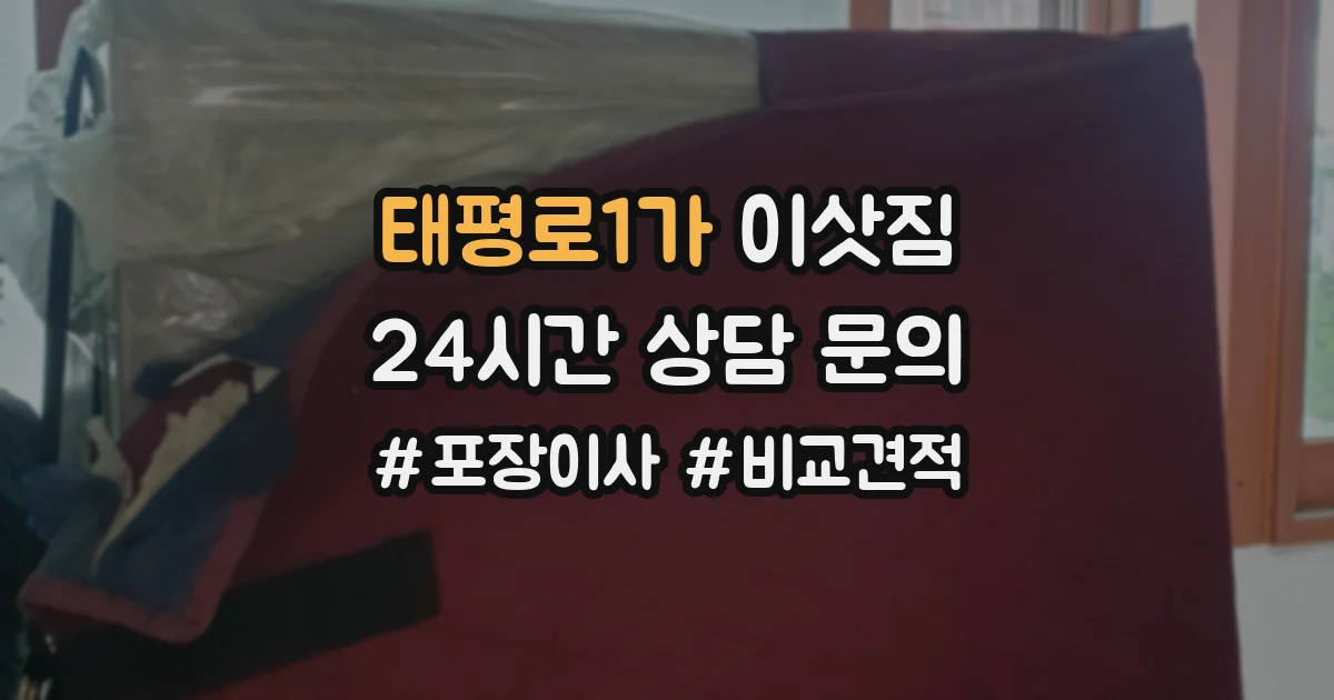 태평로1가 이삿짐