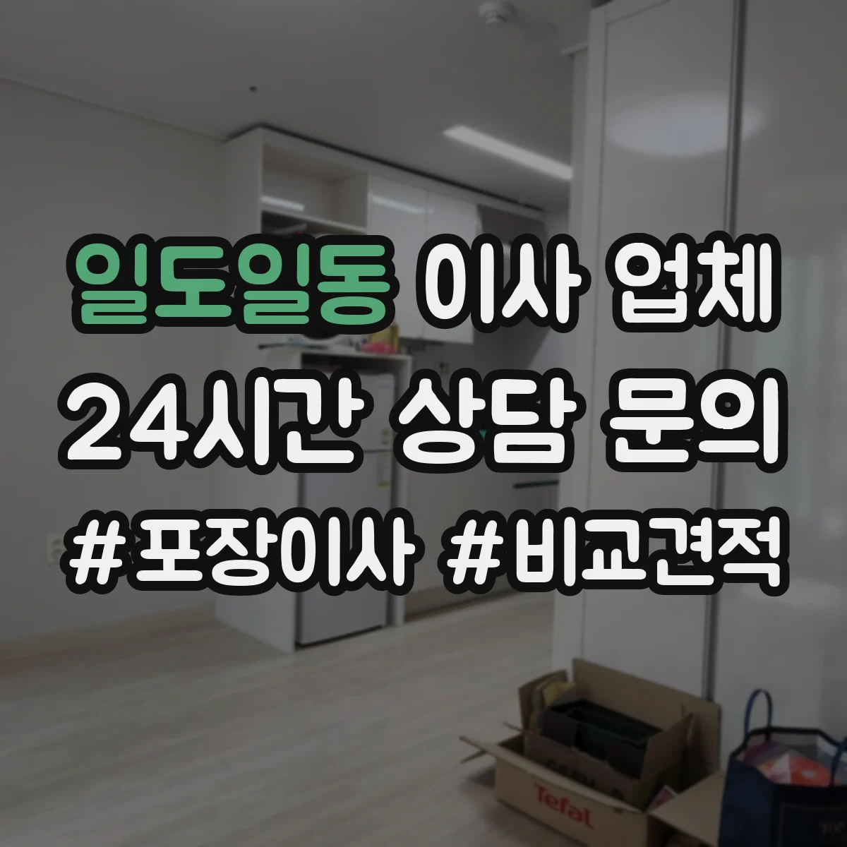 일도일동 이사 업체