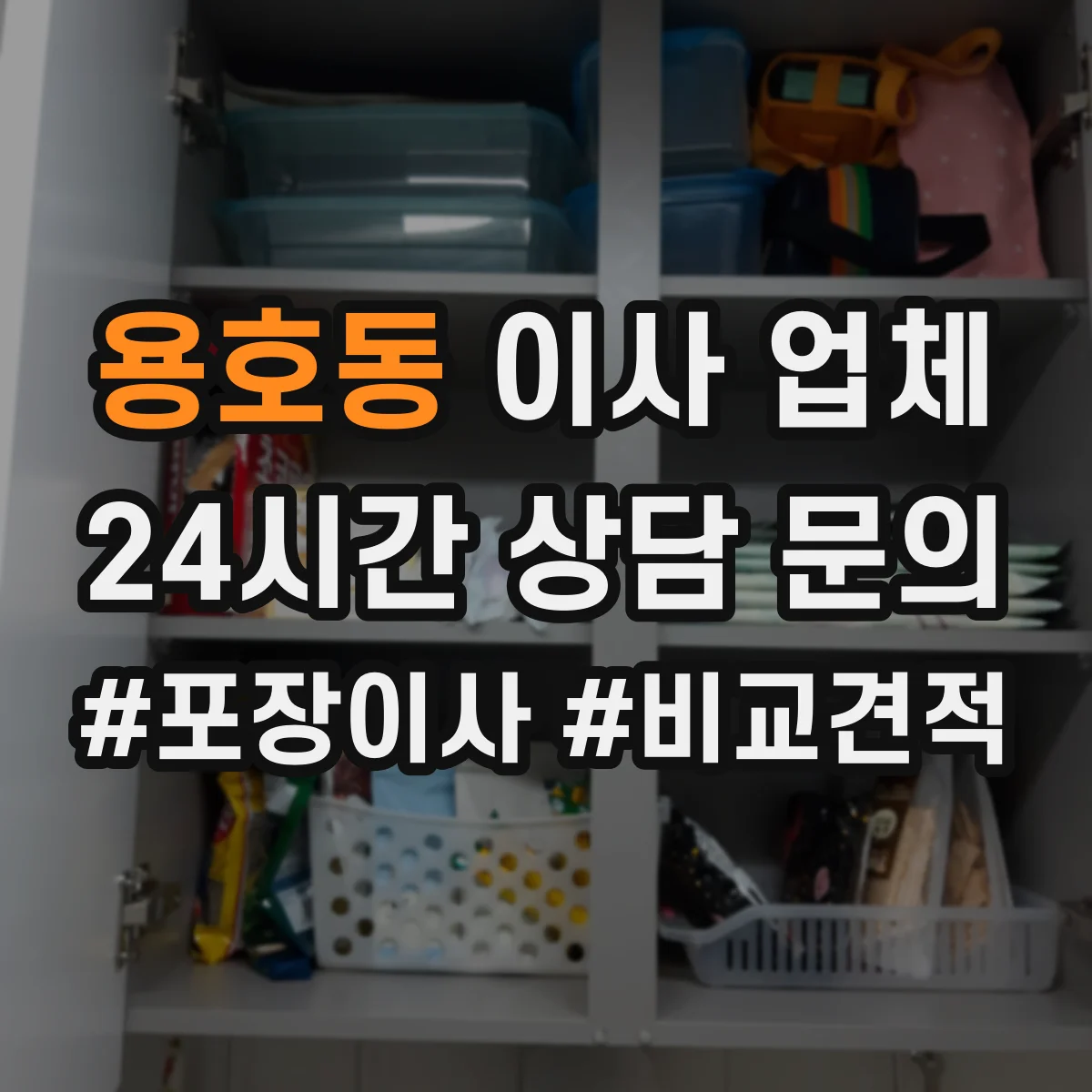 용호동 이사 업체