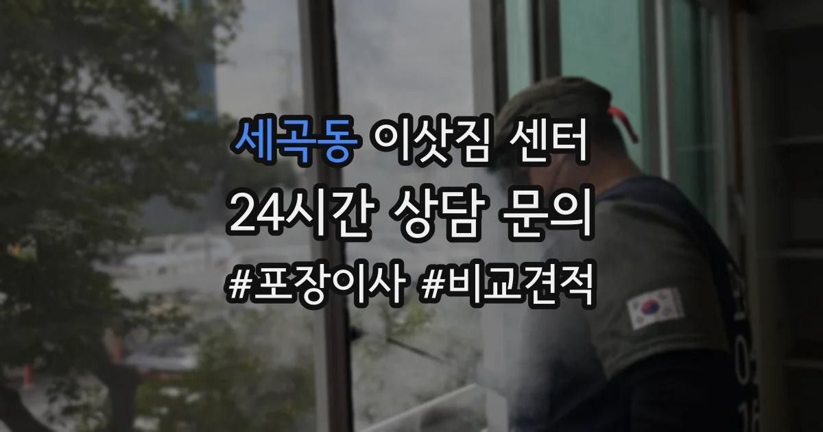 세곡동 이삿짐 센터