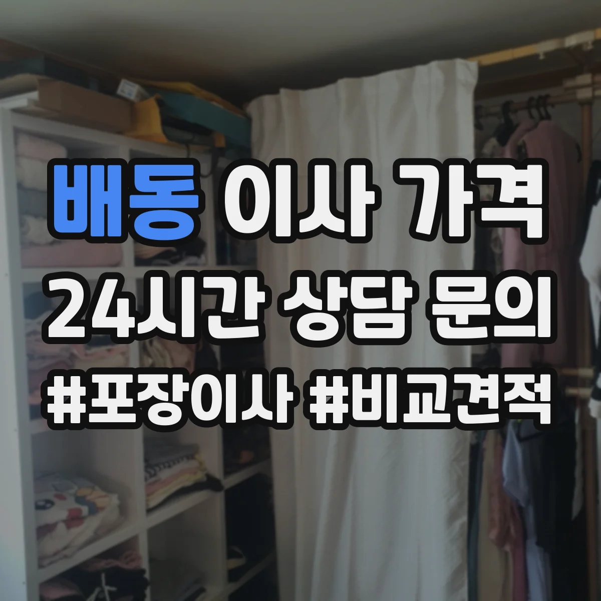 배동 이사 가격