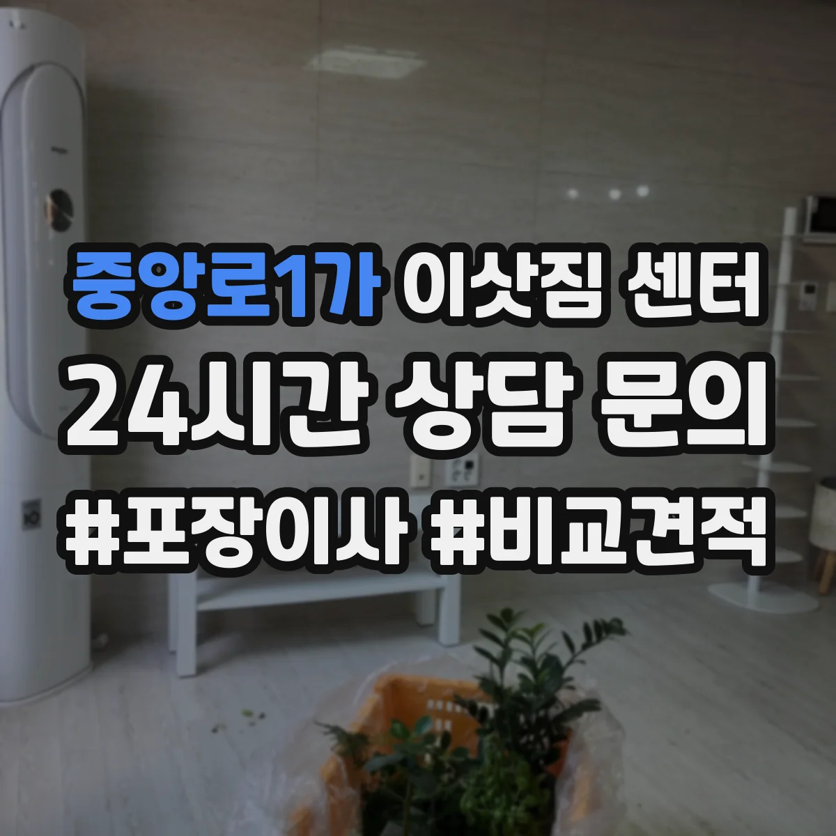 중앙로1가 이삿짐 센터