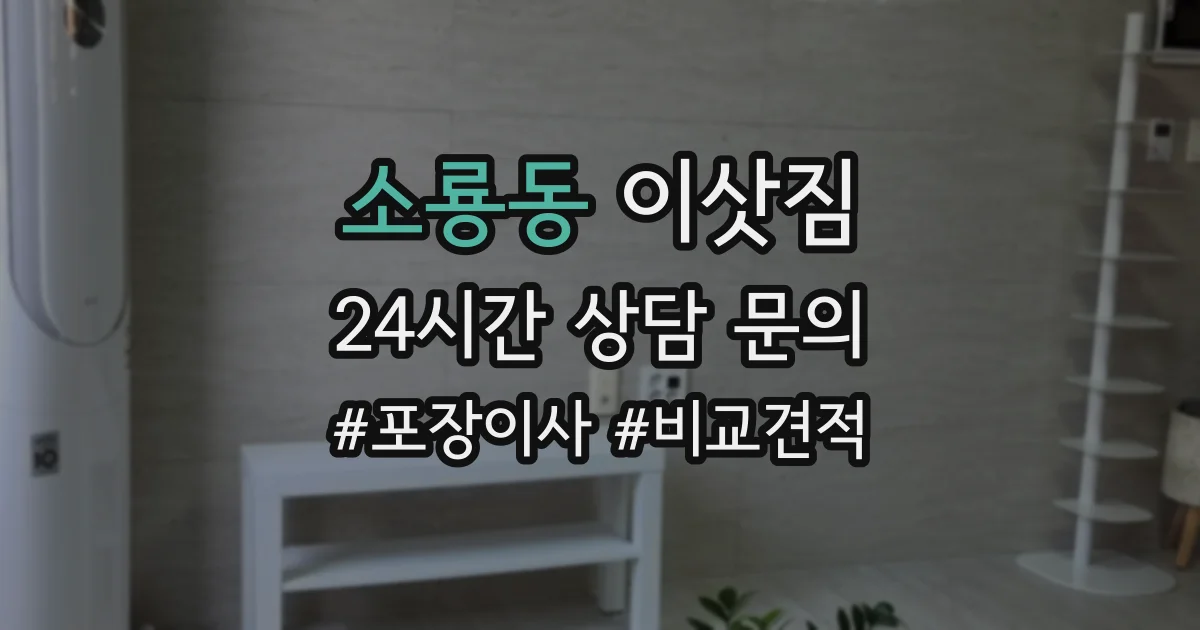 소룡동 이삿짐