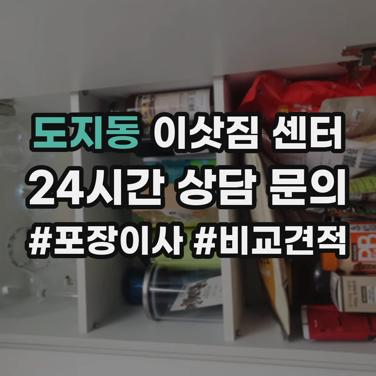 도지동 이삿짐 센터