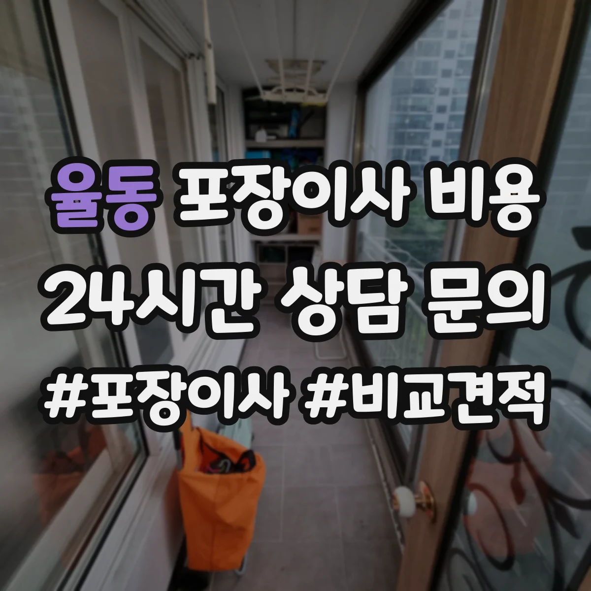 율동 포장이사 비용