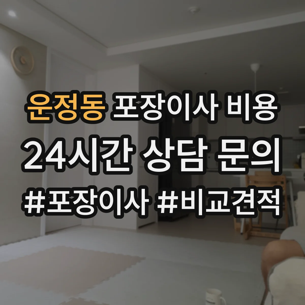 운정동 포장이사 비용