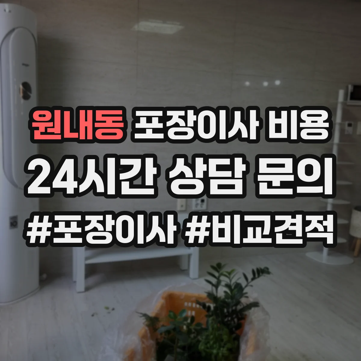원내동 포장이사 비용