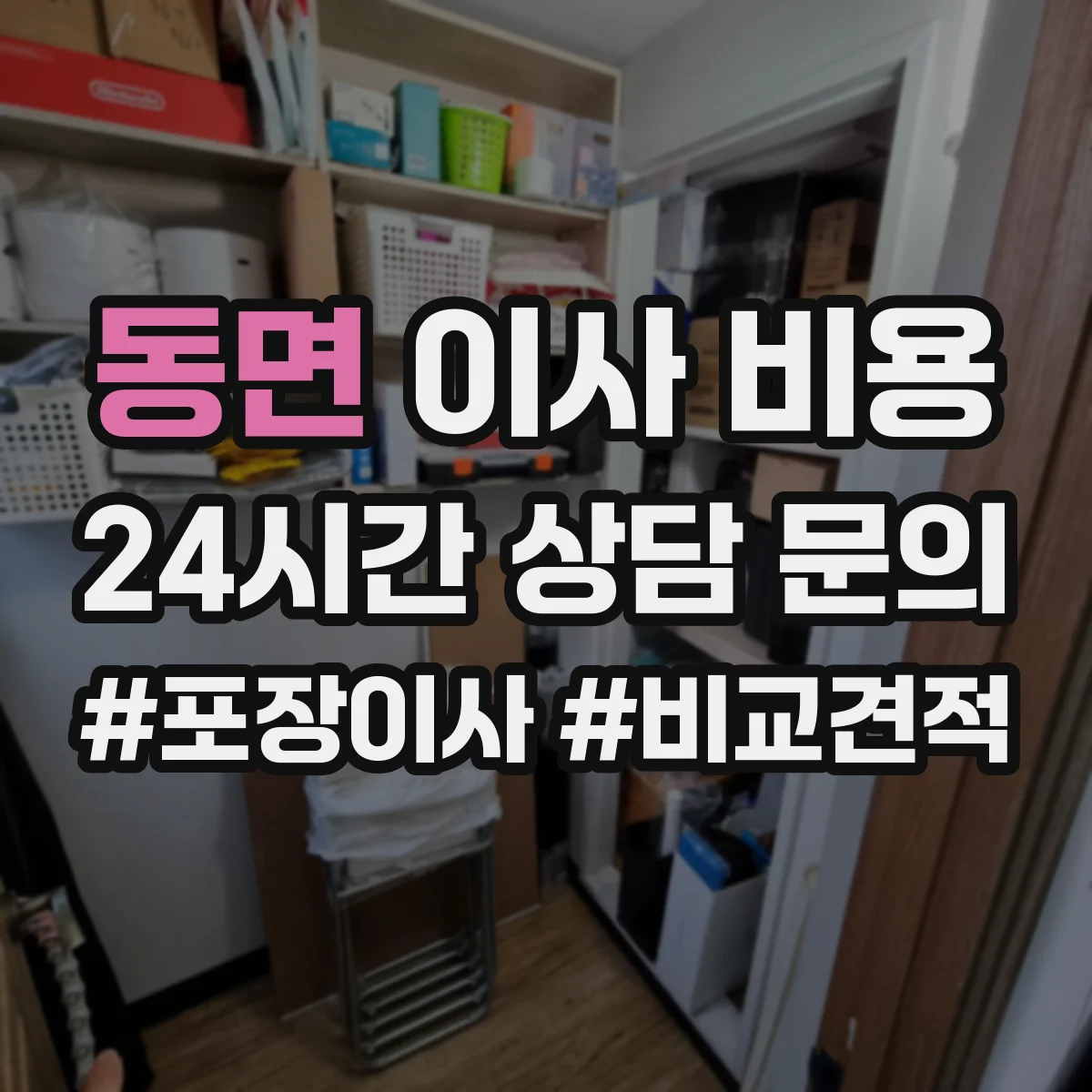 동면 이사 비용