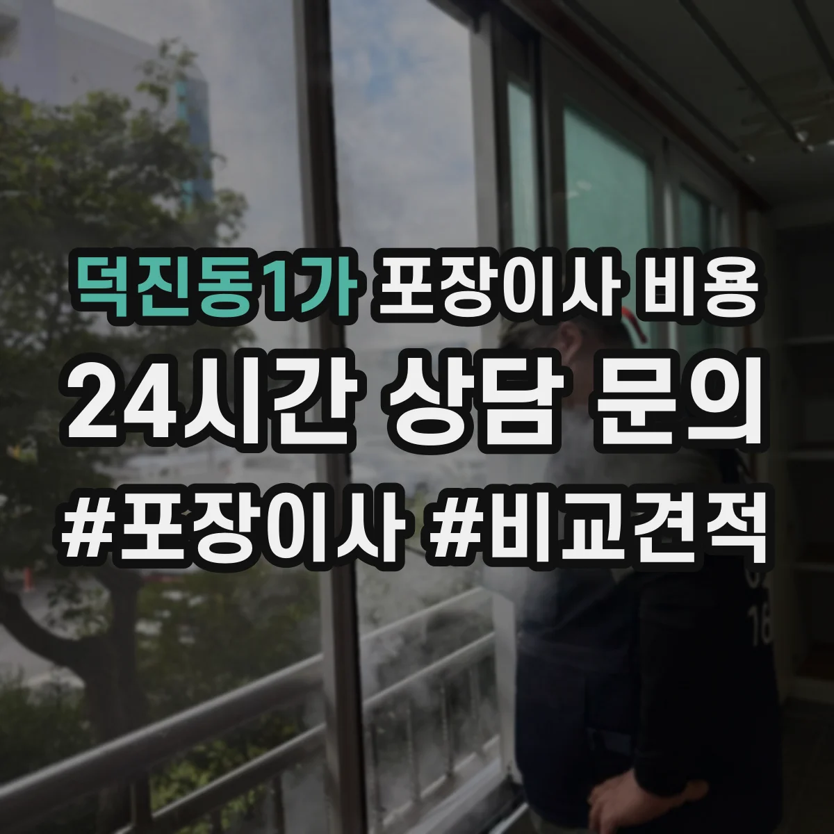 덕진동1가 포장이사 비용