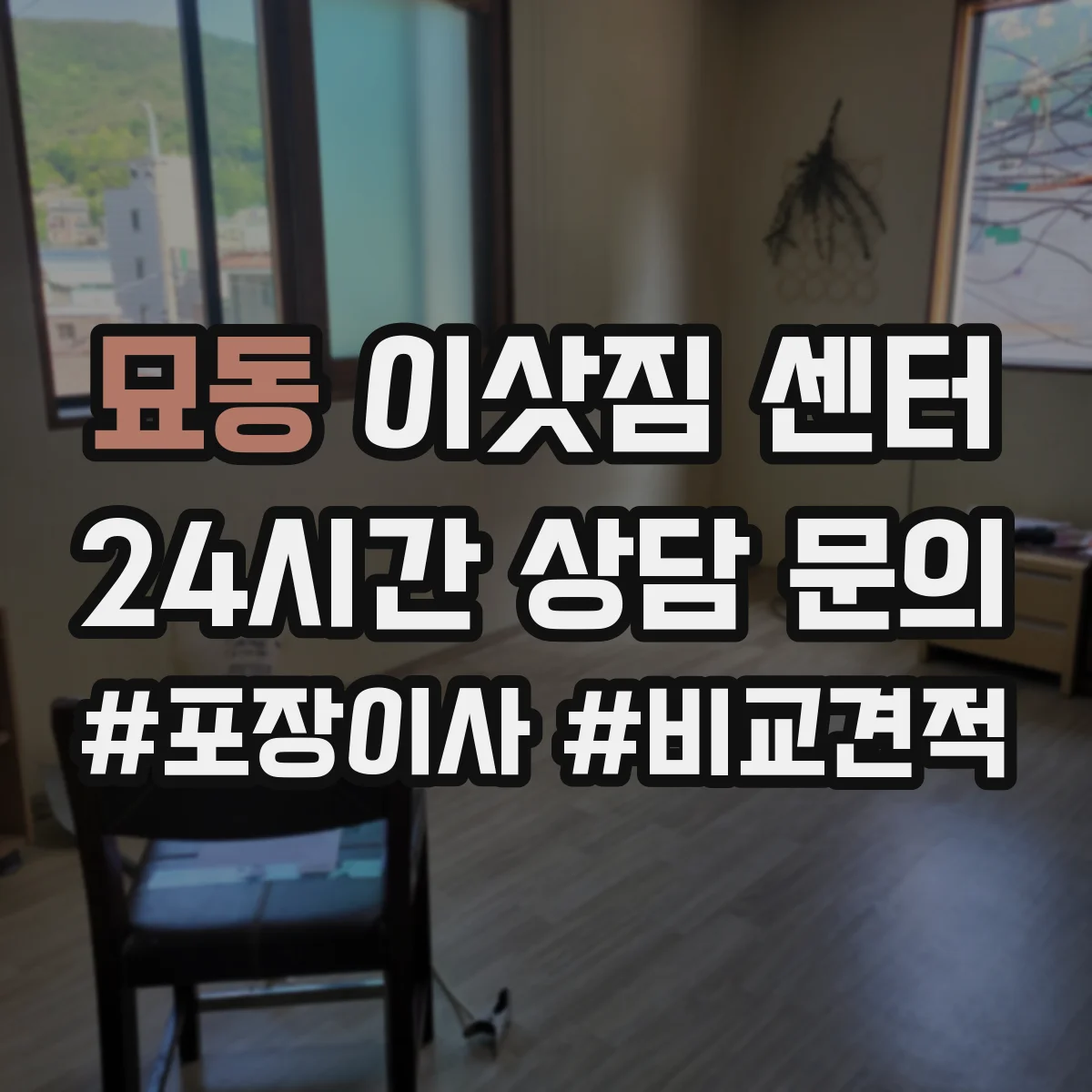 묘동 이삿짐 센터 반려동물 물품 운반 구역 나눠 깔끔하게 진행