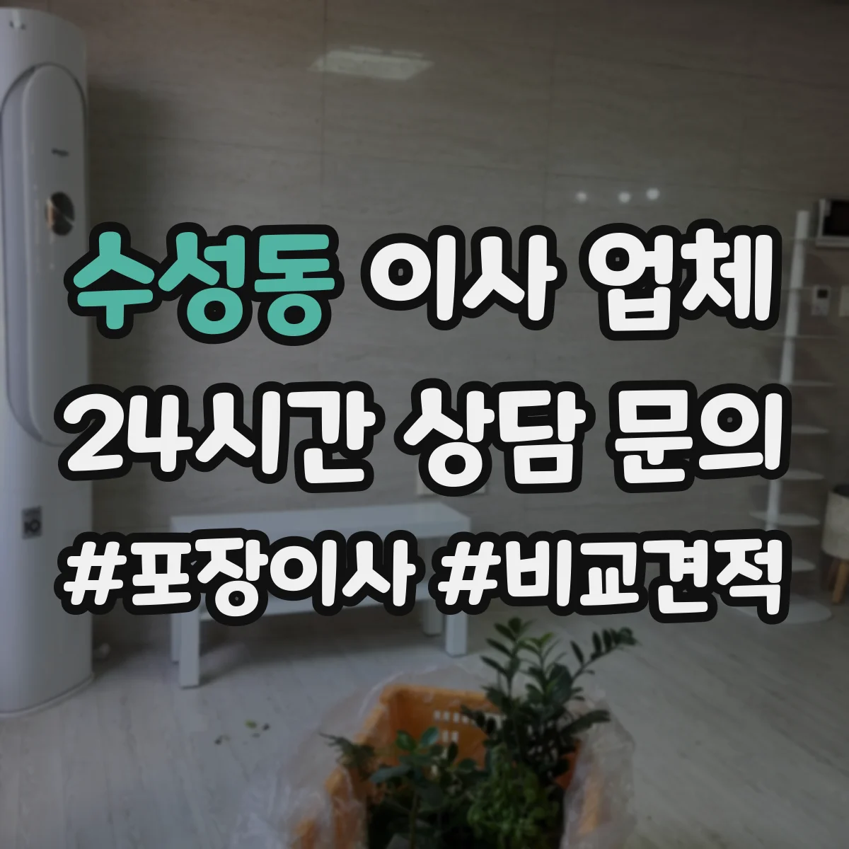 수성동 이사 업체