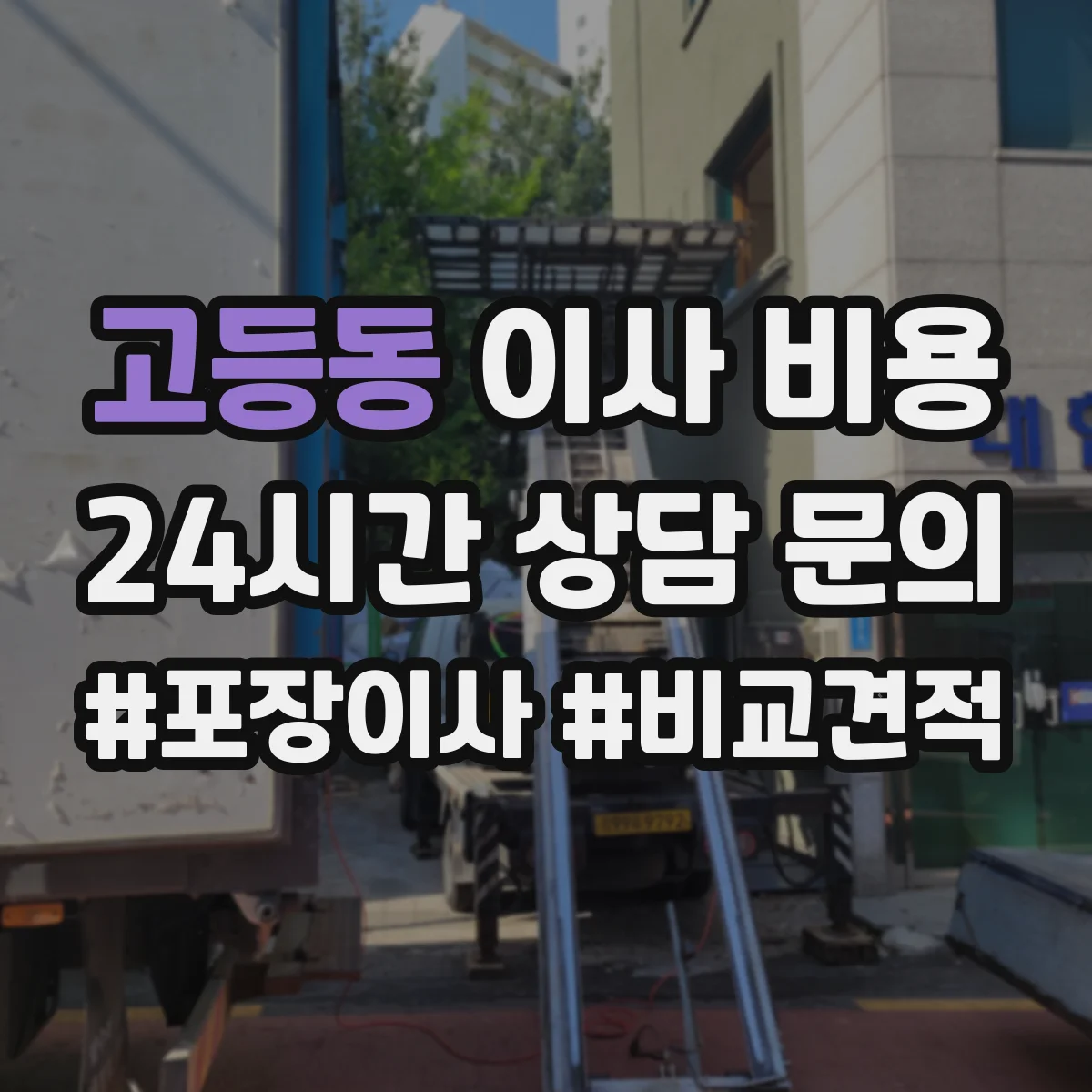 고등동 이사 비용