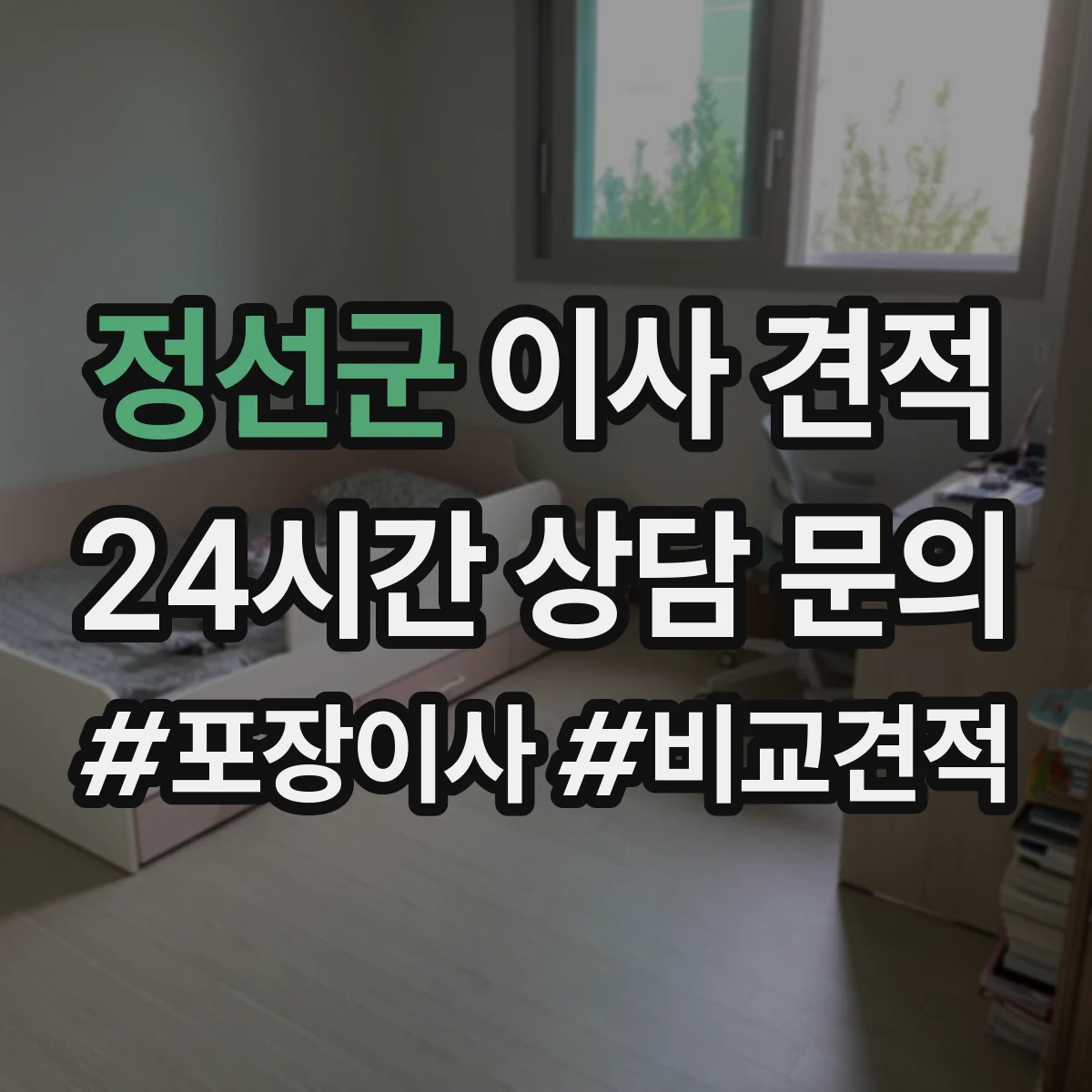 정선군 이사 견적