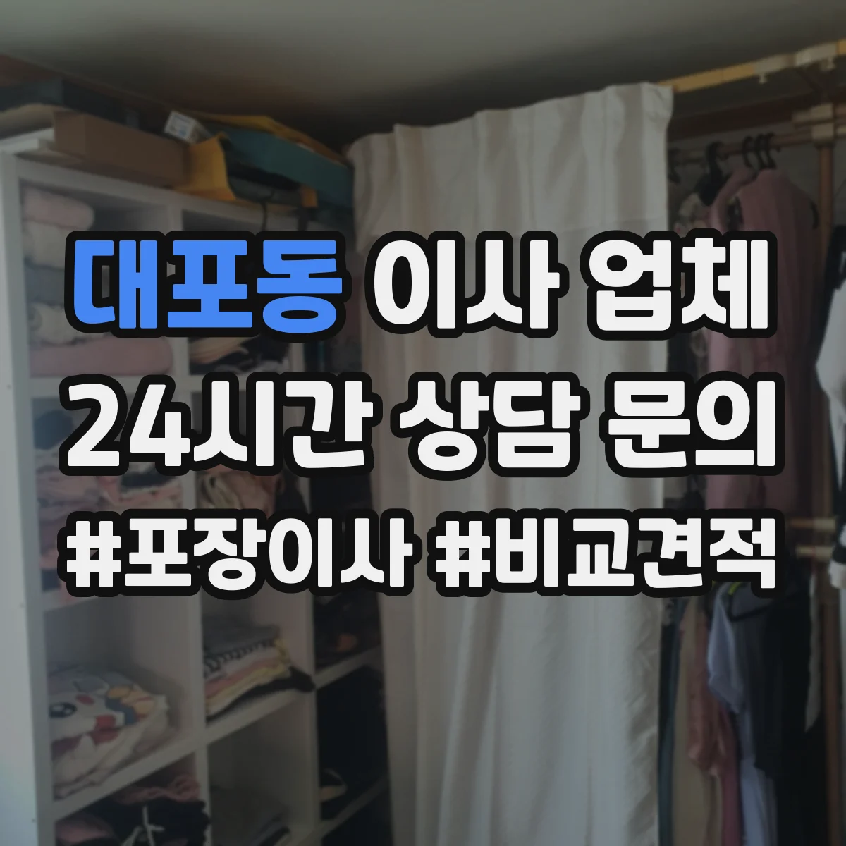 대포동 이사 업체