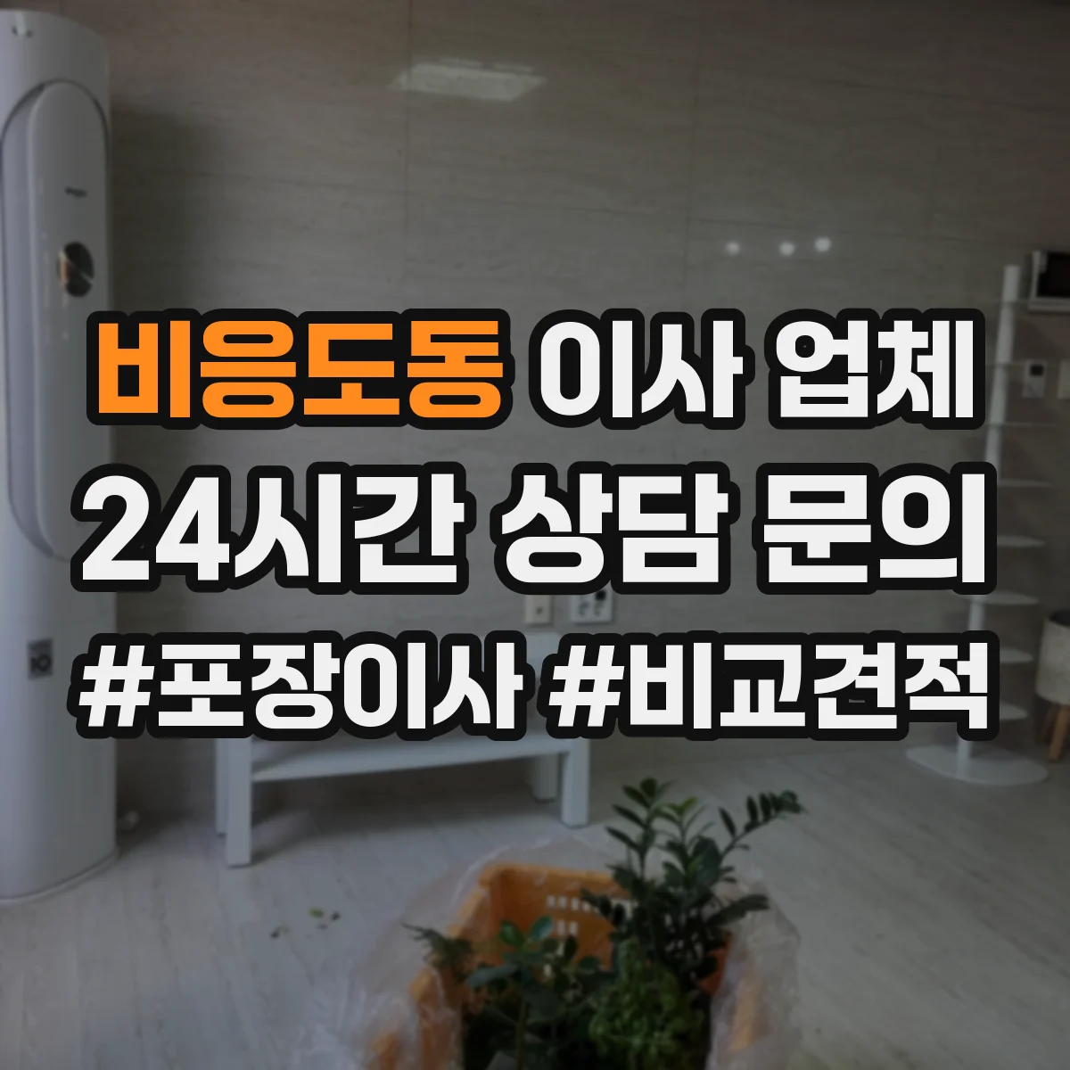 비응도동 이사 업체