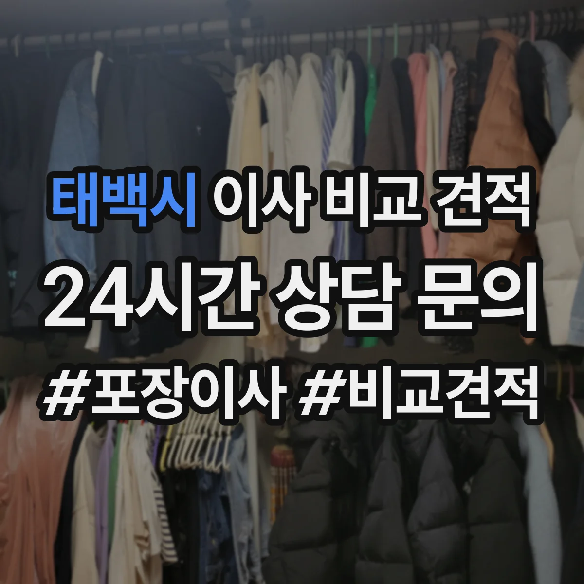 태백시 이사 비교 견적