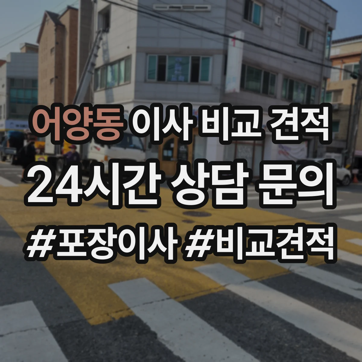 어양동 이사 비교 견적