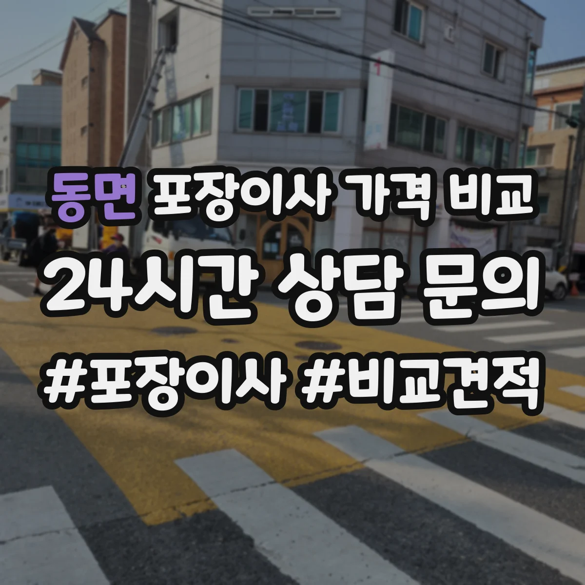 동면 포장이사 가격 비교
