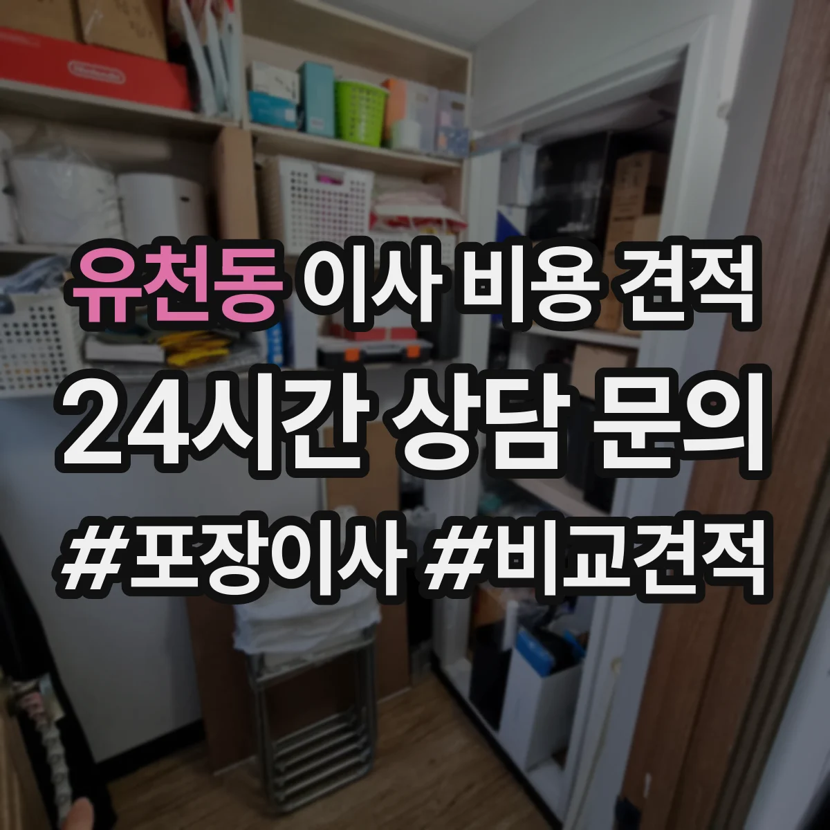 유천동 이사 비용 견적