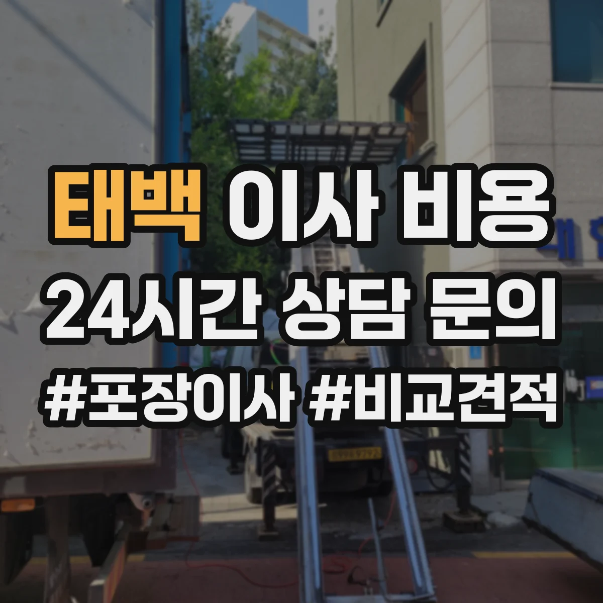 태백 이사 비용