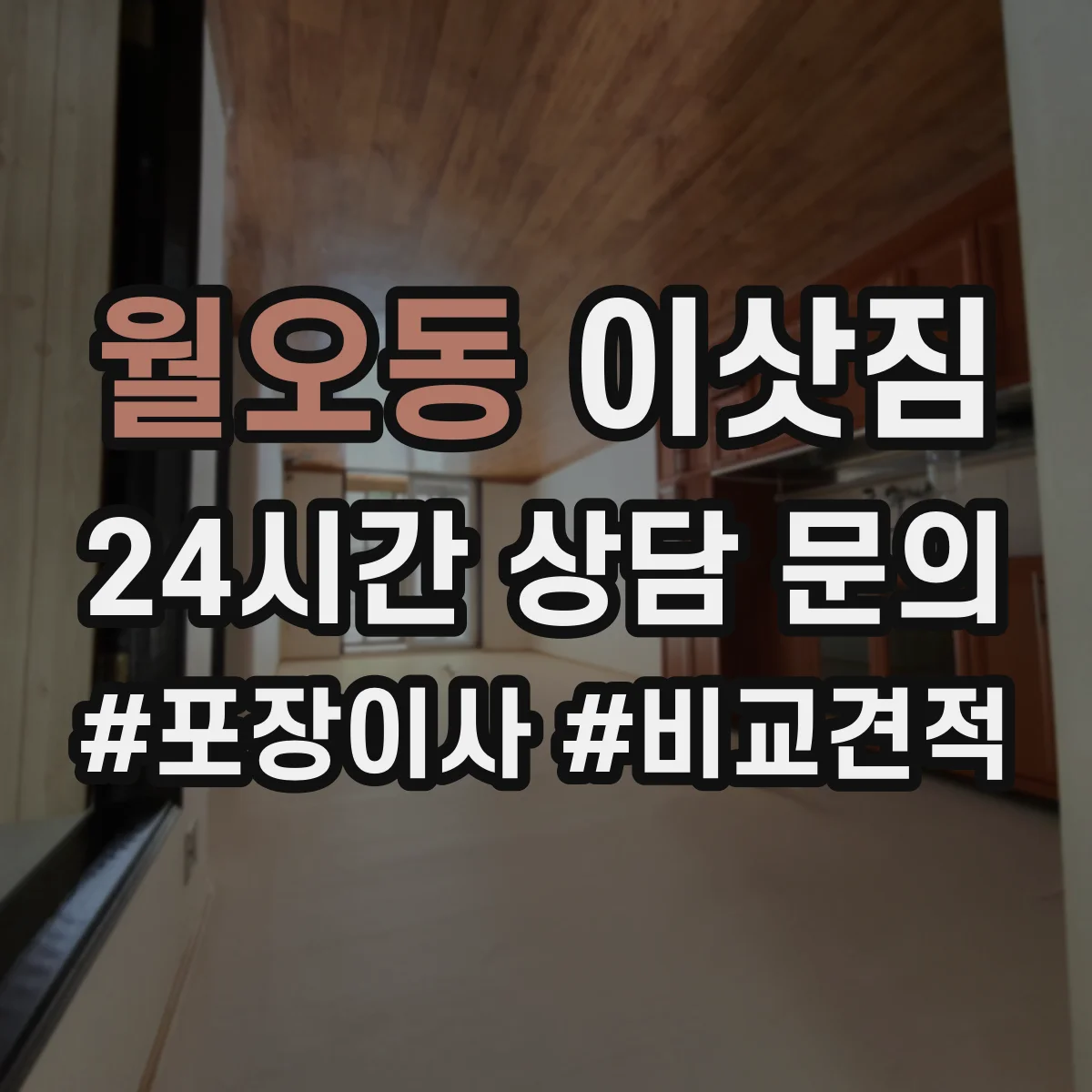 월오동 이삿짐