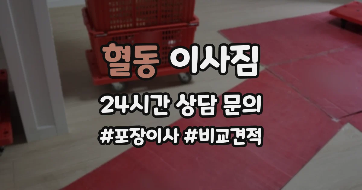 혈동 이사짐