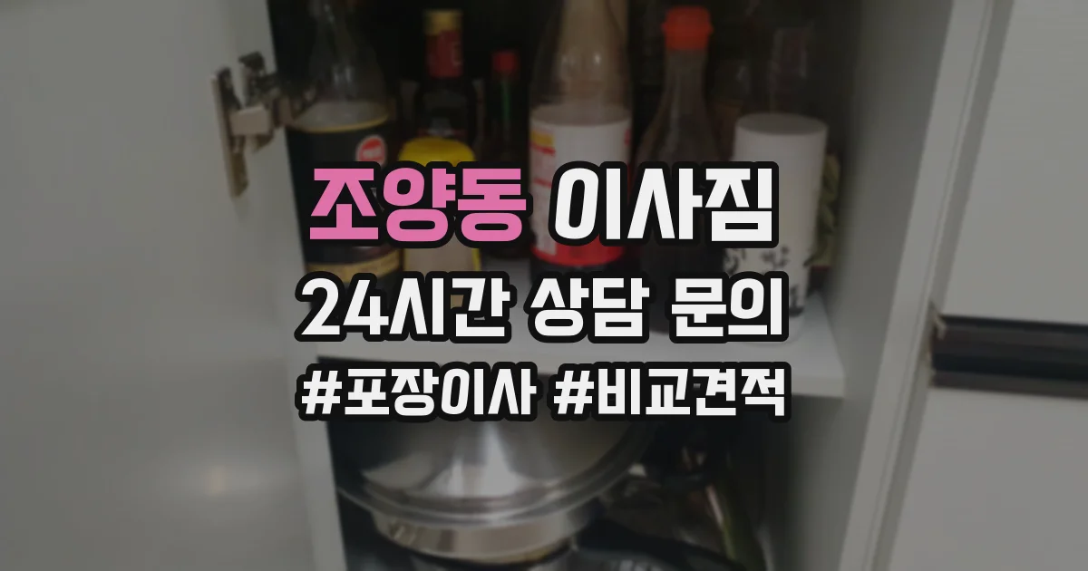 조양동 이사짐