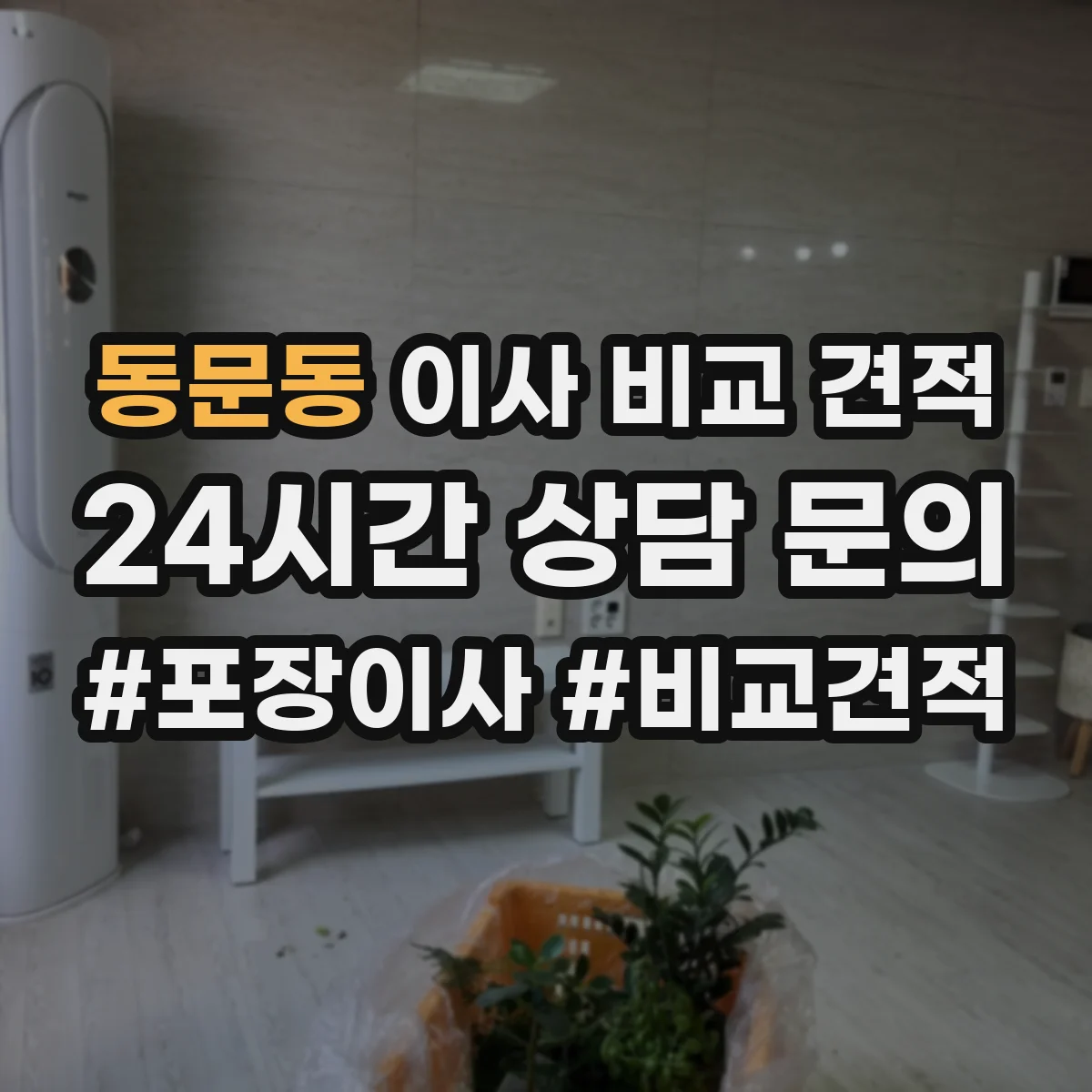 동문동 이사 비교 견적