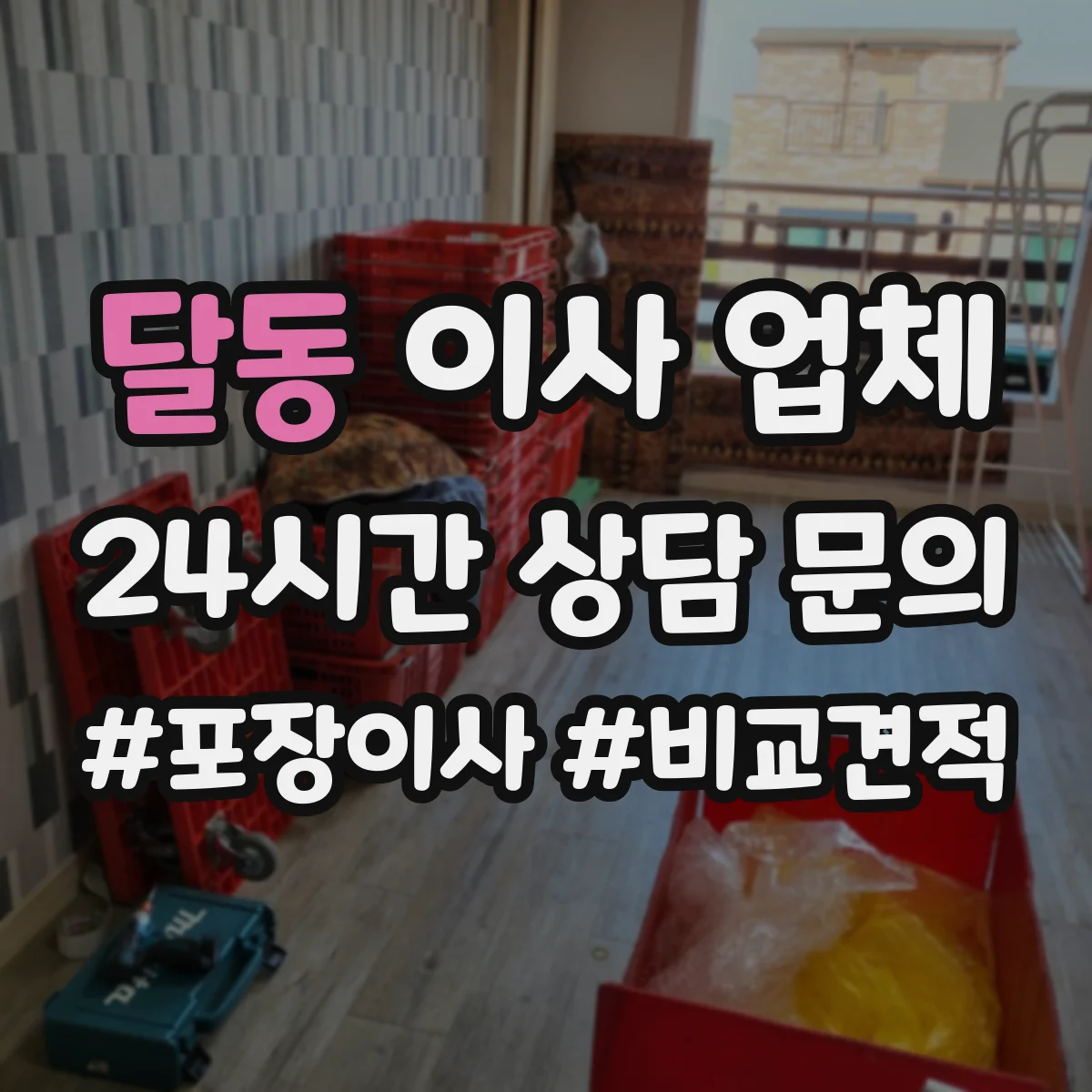 달동 이사 업체